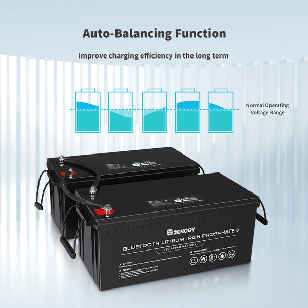 200ah Lithium iron phosphate battery (with bluetooth) - Renogy