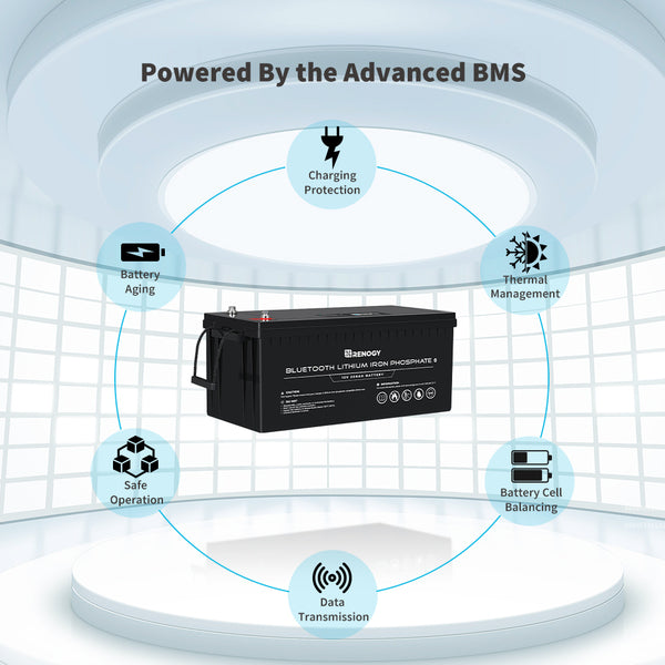 200ah Lithium iron phosphate battery (with bluetooth) - Renogy